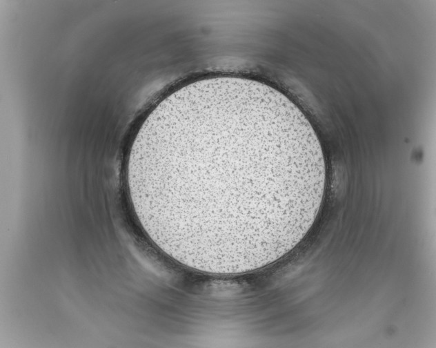 X0000089860636200707262128