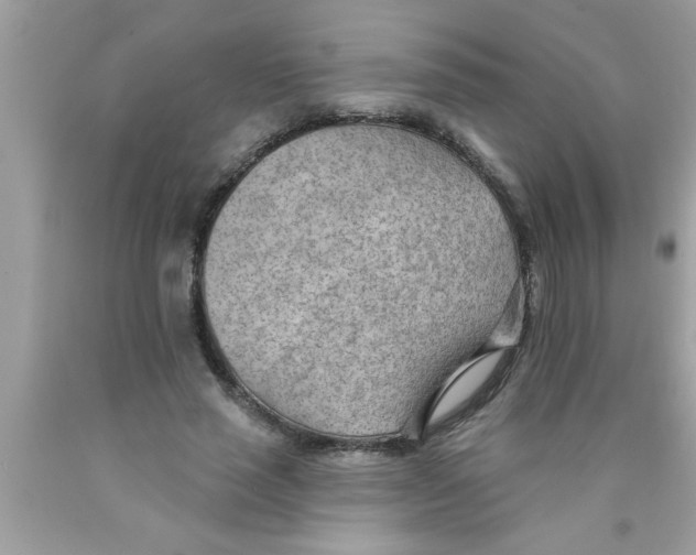 X0000089860637200707262128