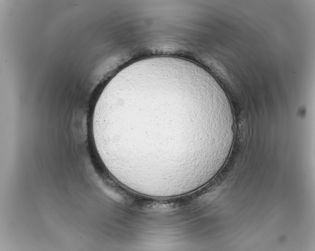 X0000089860638200707262128