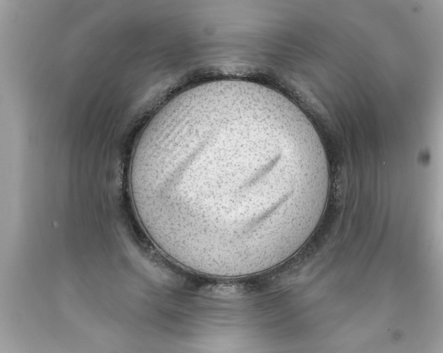 X0000089860639200707262128