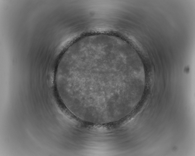 X0000089860640200707262128