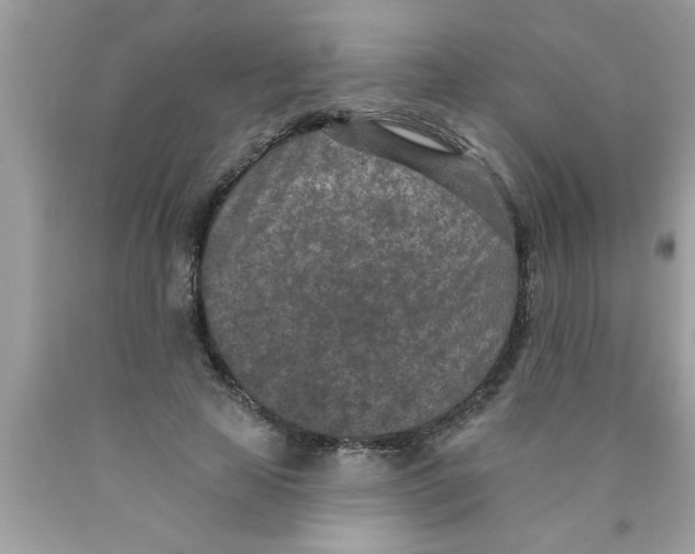 X0000089860641200707262128