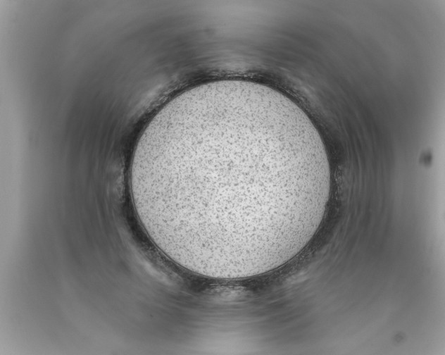 X0000089860642200707262128