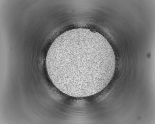 X0000089860645200707262129