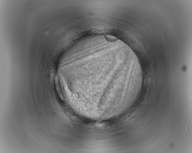 X0000089860647200707262129