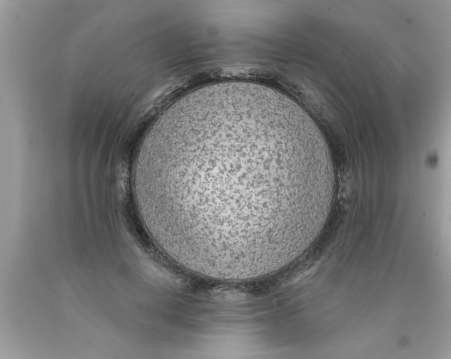 X0000089860648200707262129