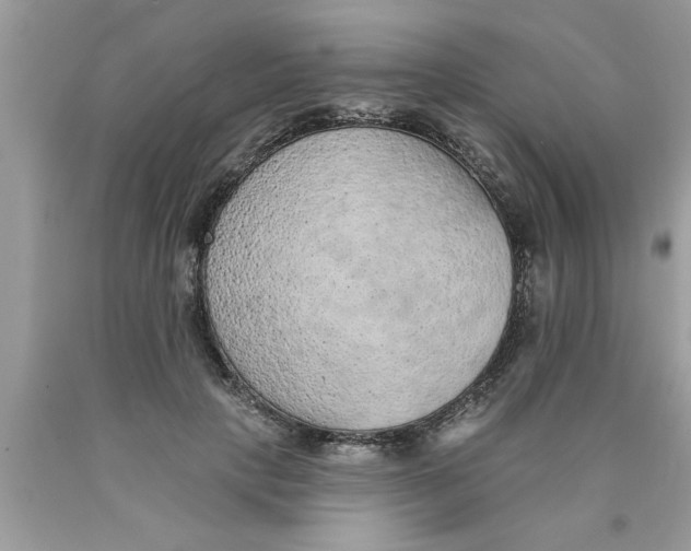 X0000089860649200707262129
