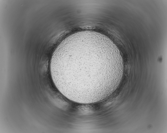 X0000089860652200707262129