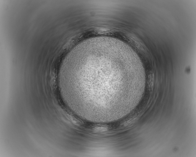 X0000089860653200707262129