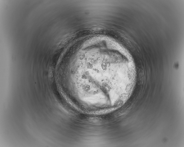 X0000089860654200707262129