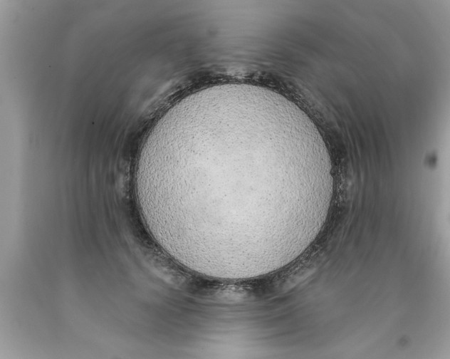 X0000089860656200707262129