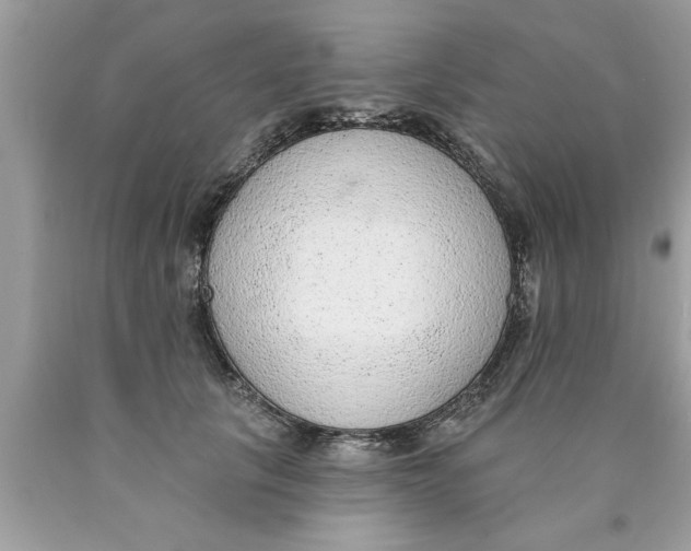 X0000089860657200707262129