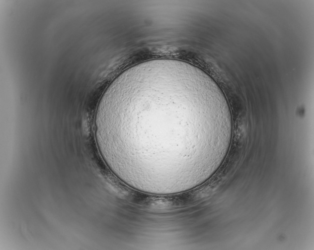 X0000089860658200707262129