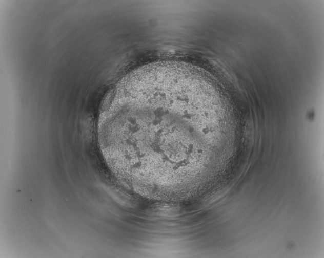 X0000089860659200707262129