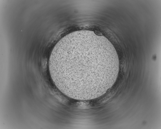 X0000089860660200707262129
