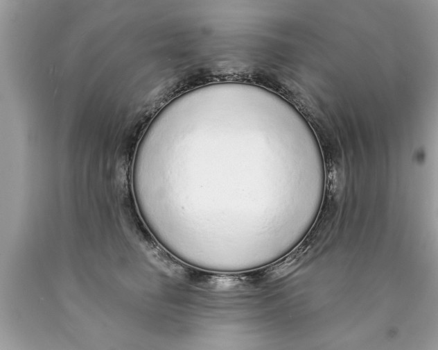 X0000089860662200707262129