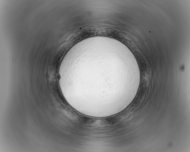X0000089860663200707262129