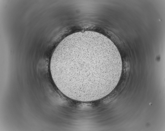 X0000089860664200707262129