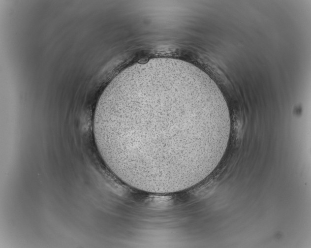 X0000089860665200707262129