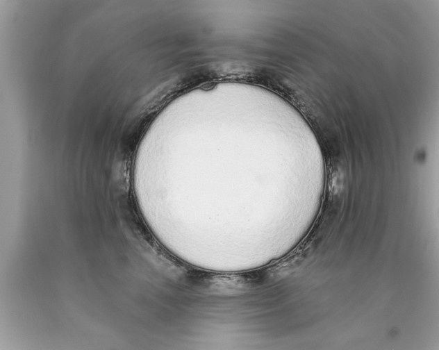 X0000089860666200707262129