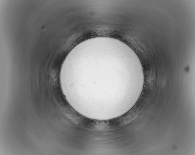X0000089860667200707262129
