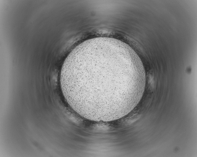 X0000089860668200707262129