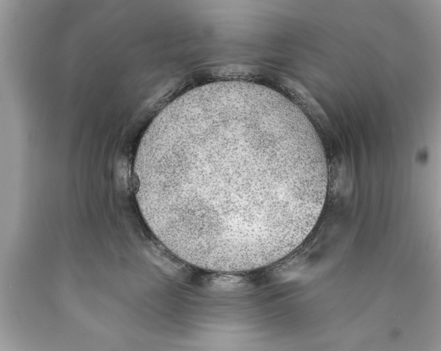 X0000089860669200707262129