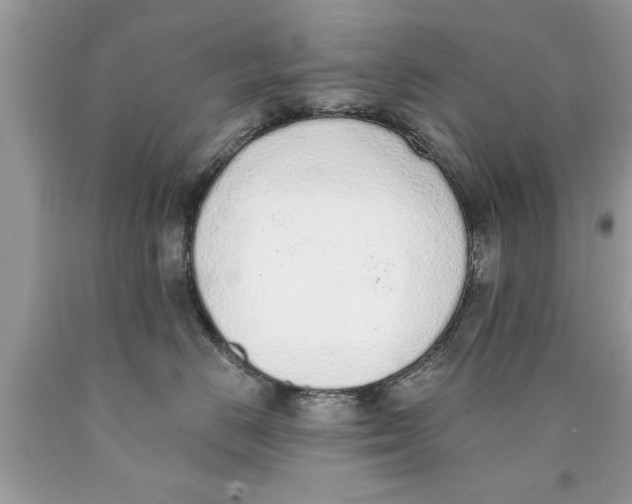 X0000089860670200707262129
