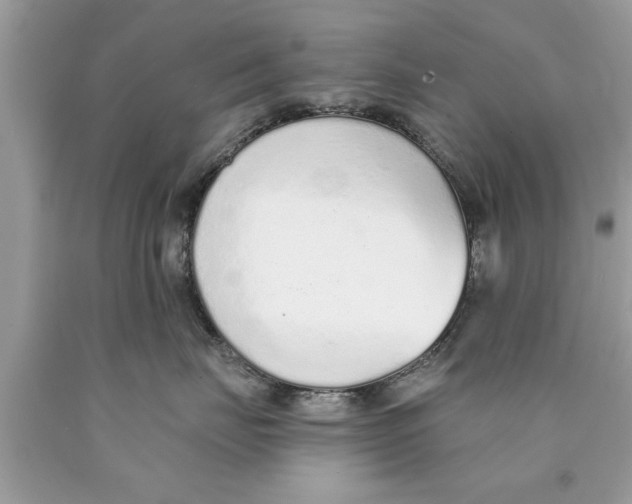 X0000089860671200707262129