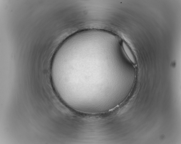 X0000089860673200707262128