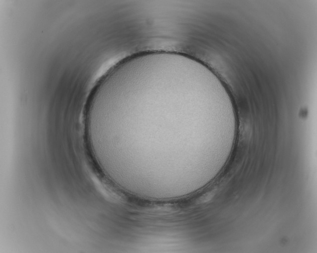 X0000089860674200707262128