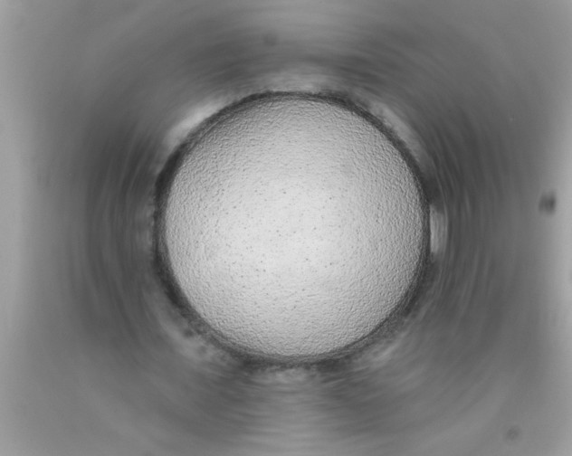 X0000089860675200707262128