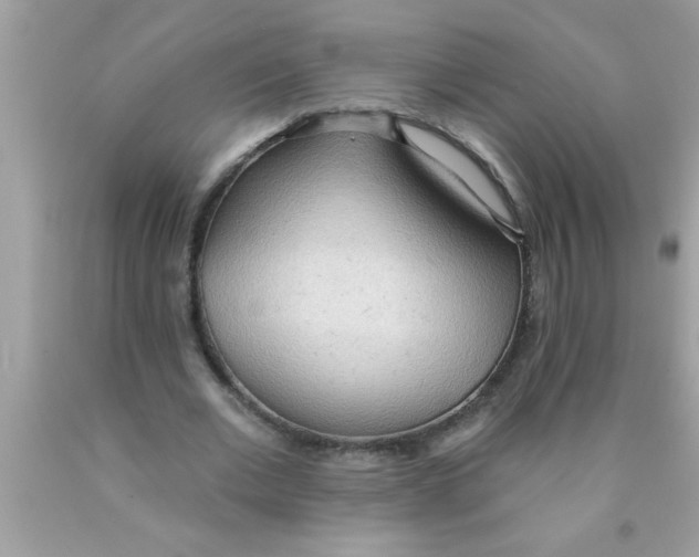 X0000089860677200707262128