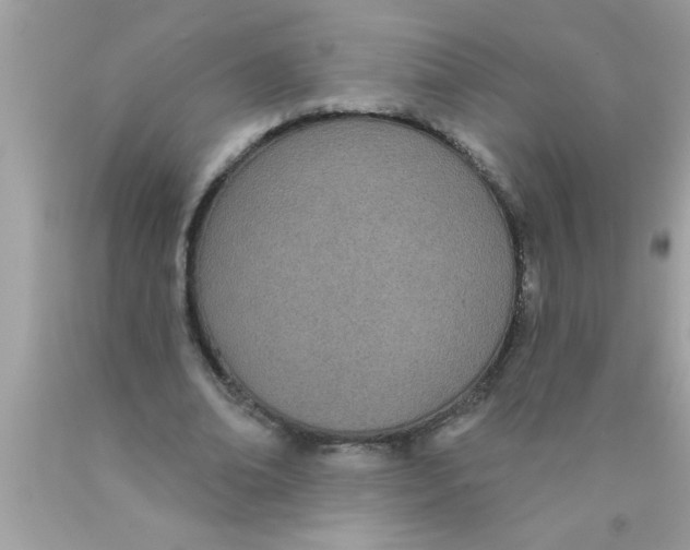 X0000089860678200707262128