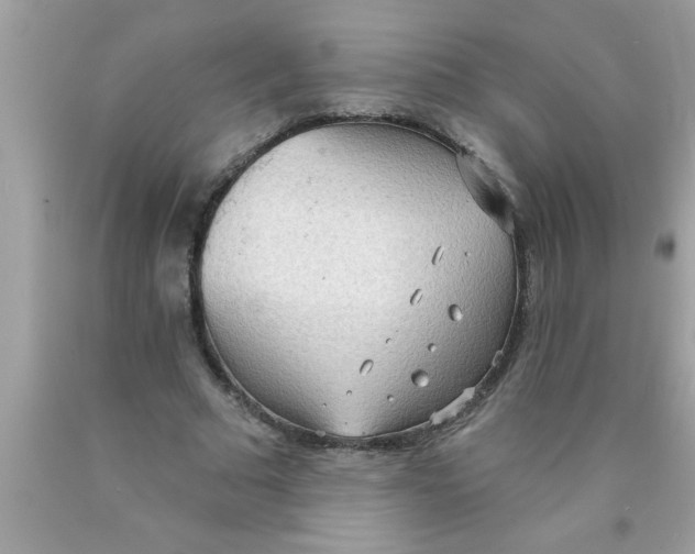 X0000089860681200707262128