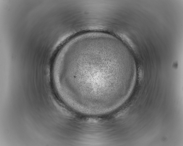 X0000089860684200707262128