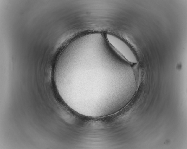 X0000089860685200707262128
