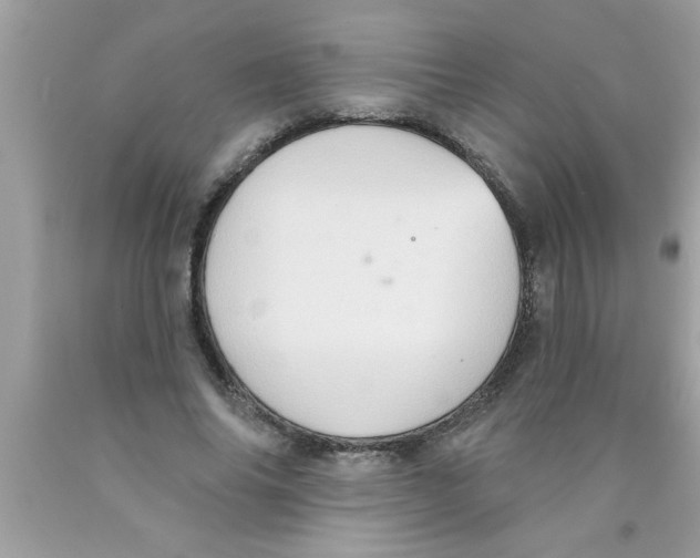 X0000089860686200707262128