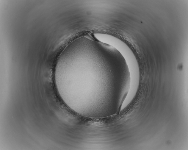 X0000089860689200707262128