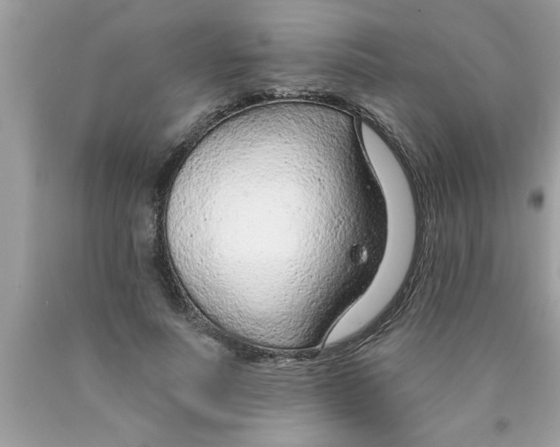 X0000089860691200707262128