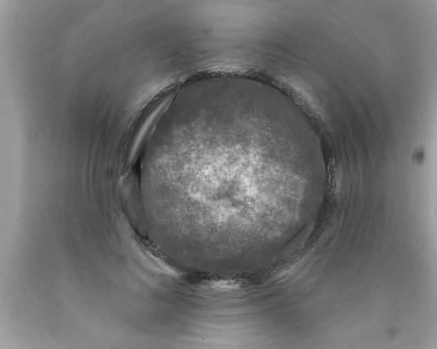 X0000089860692200707262128