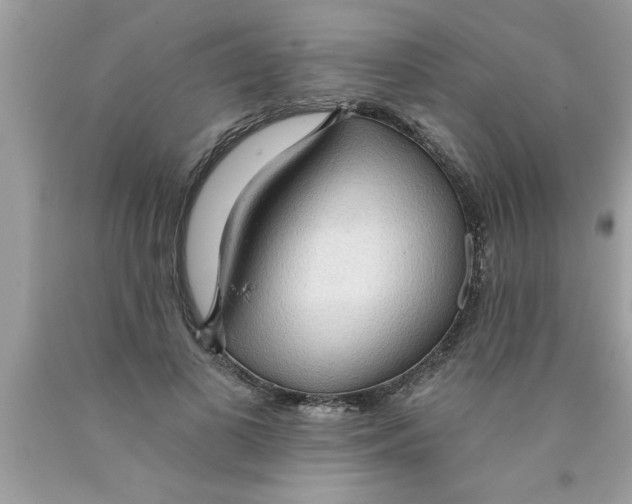 X0000089860693200707262128