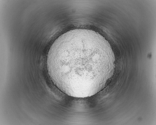 X0000089860695200707262128