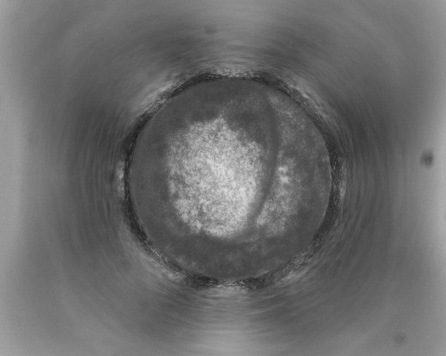 X0000089860696200707262128