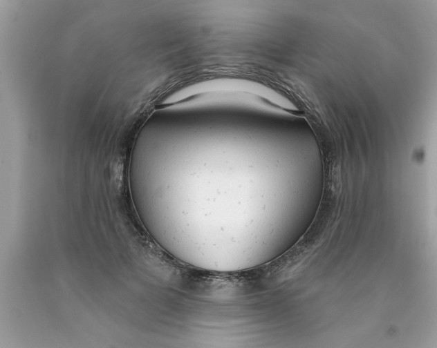 X0000089860697200707262128