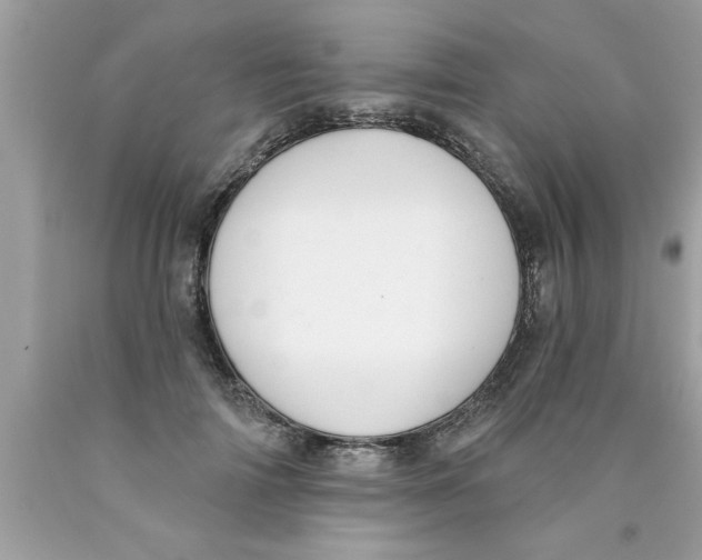 X0000089860698200707262128