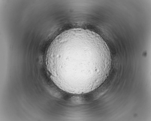 X0000089860699200707262128