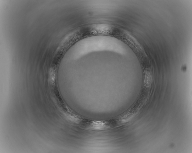 X0000089860701200707262128