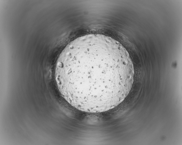 X0000089860703200707262128