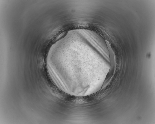 X0000089860704200707262128